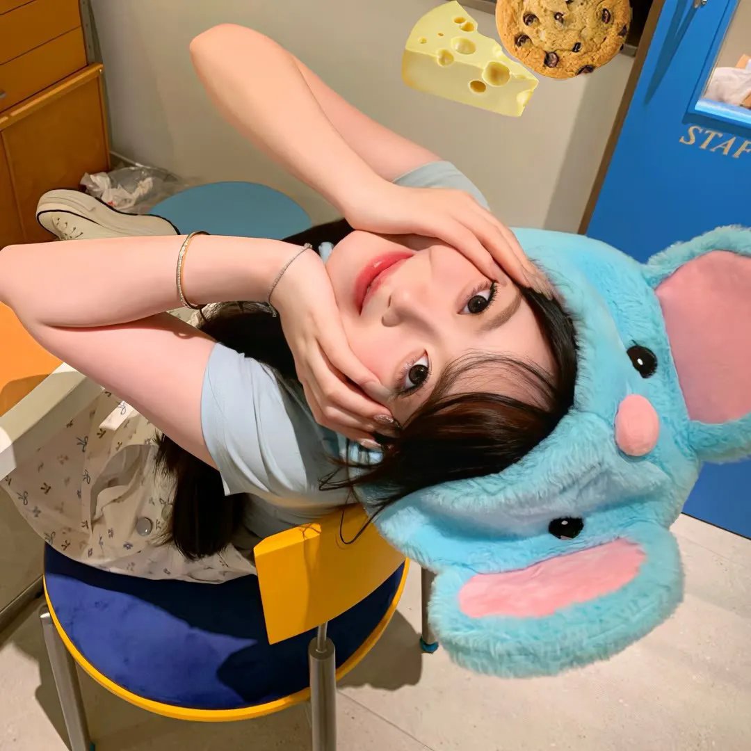 夜猫子